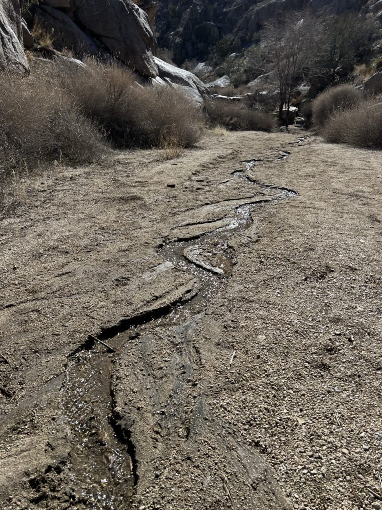 Cold but Enchanting Getaway to New Mexico