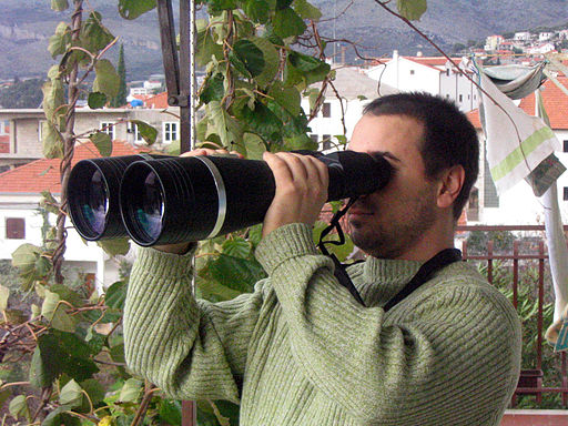 Looking through large, large binoculars